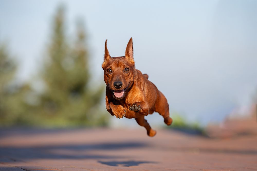 Photograph by Анна