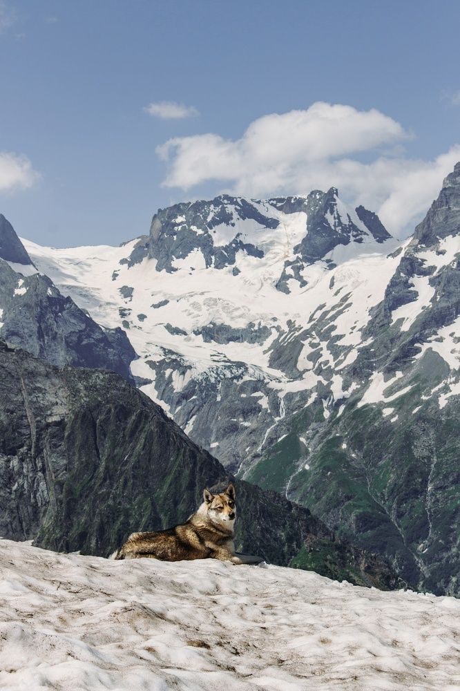 Photograph by Анастасия Лидяева