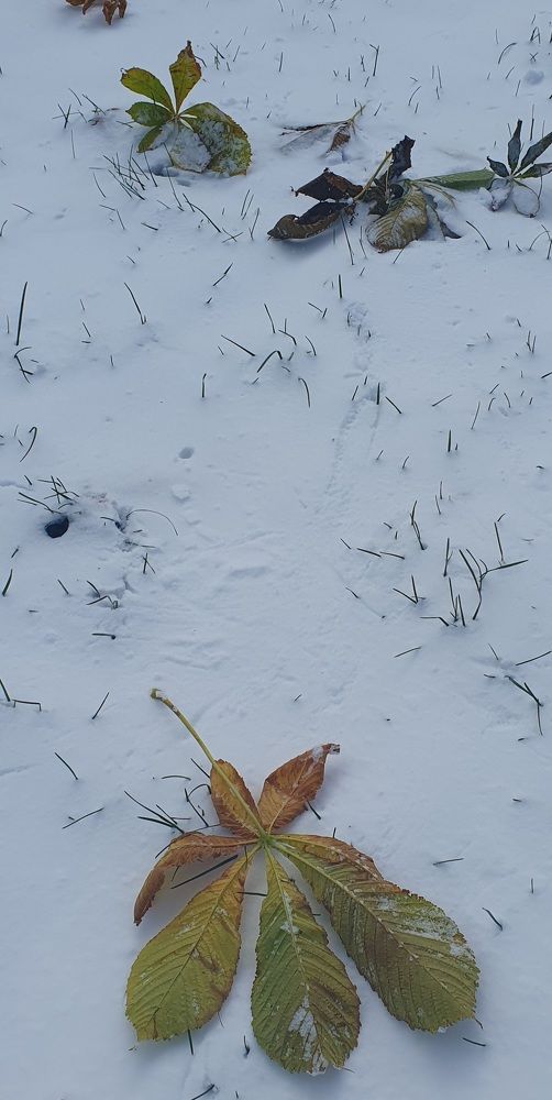 Photograph by Жанна Регор