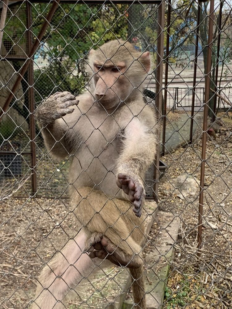 Photograph by Игорь Ребров