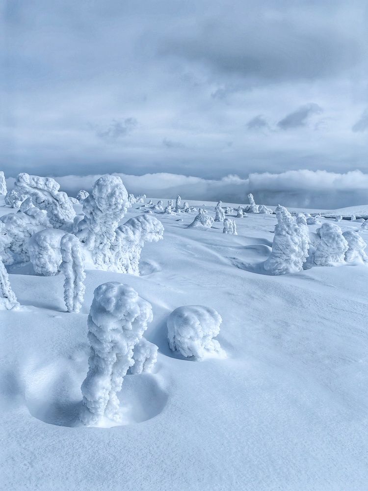 Photograph by Екатерина Исаева