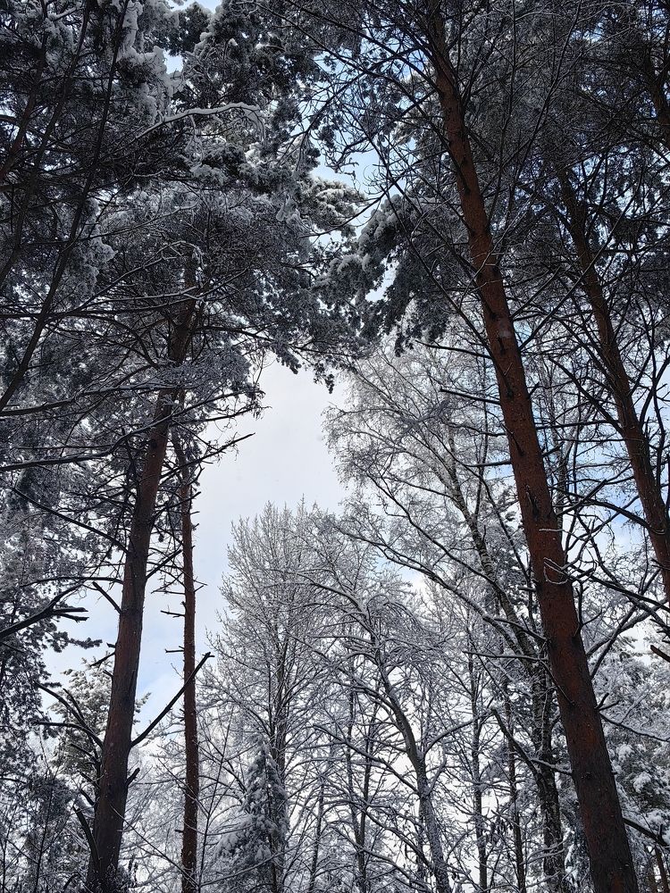 Photograph by Екатерина Исаева