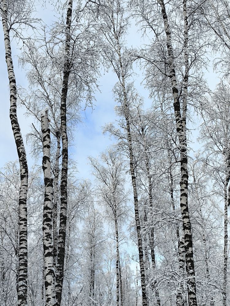 Photograph by Екатерина Исаева