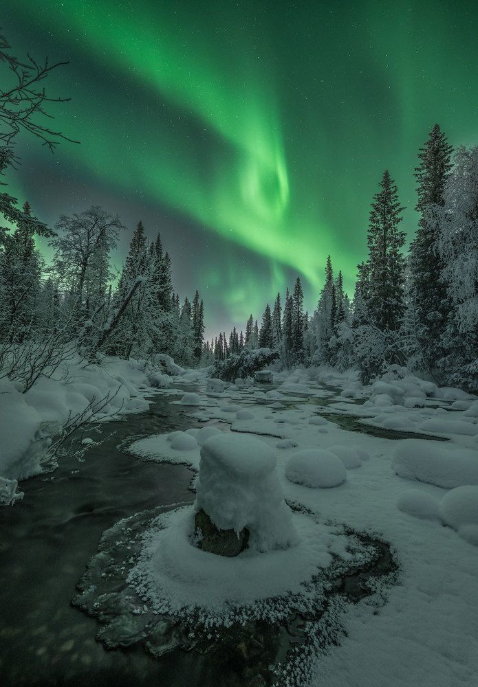 Photograph by Бушков Евгений