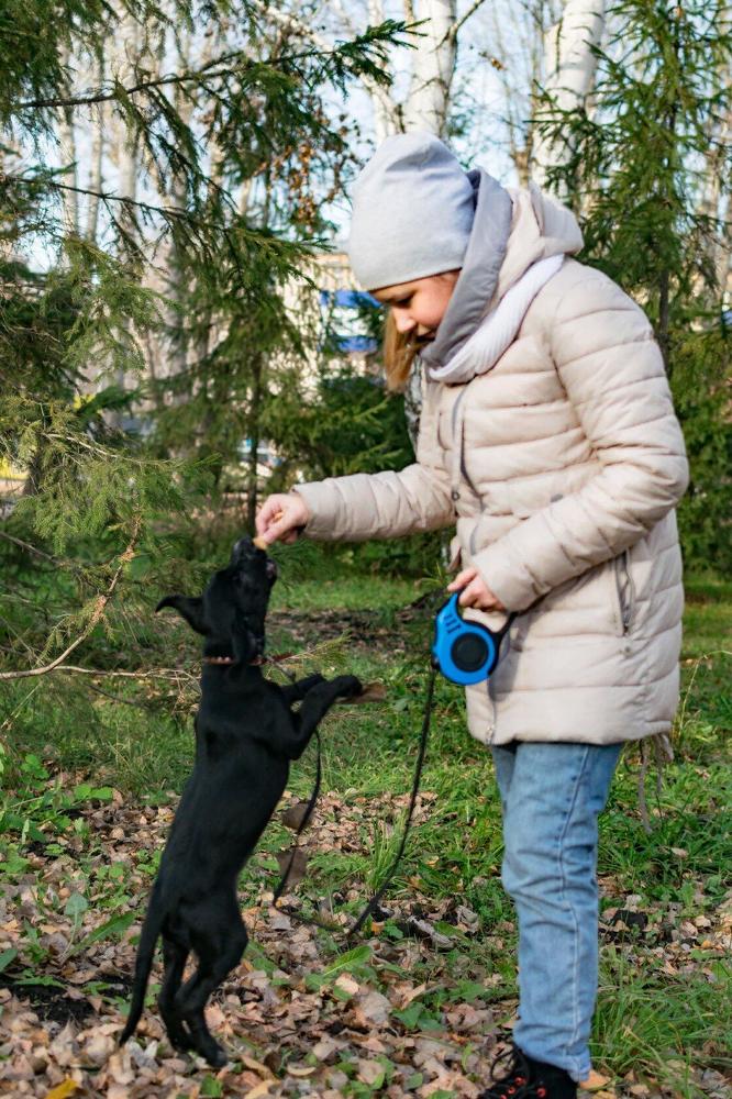 Photograph by Назмутдинова Сауия