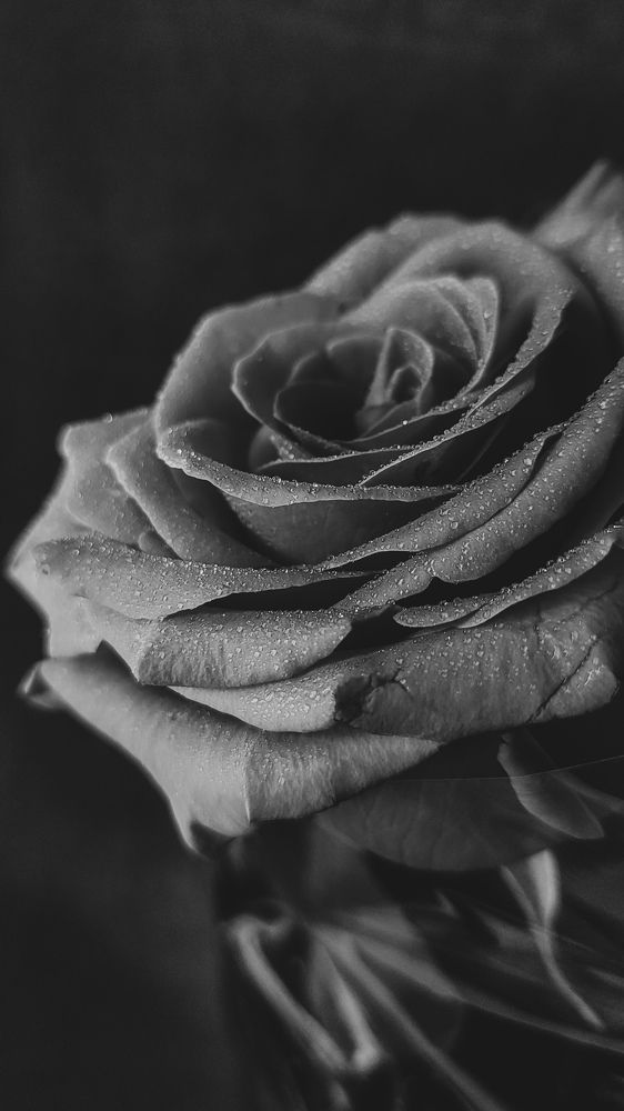 Photograph by Ирина Строкова