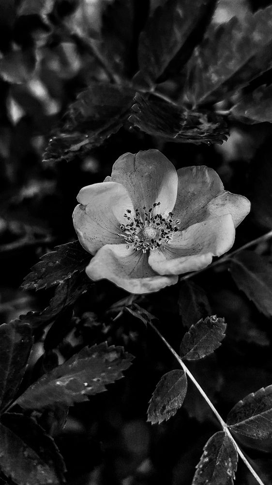 Photograph by Ирина Строкова