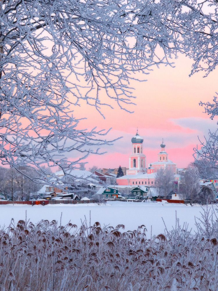 Фотография автора Тимофей Шутов