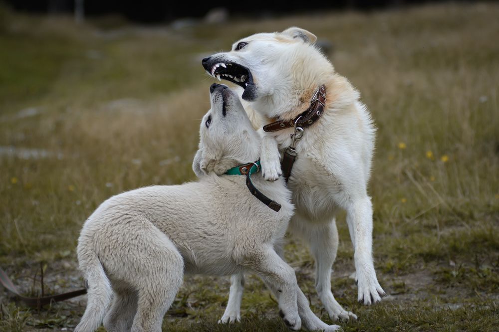 Photograph by Олег Бережных