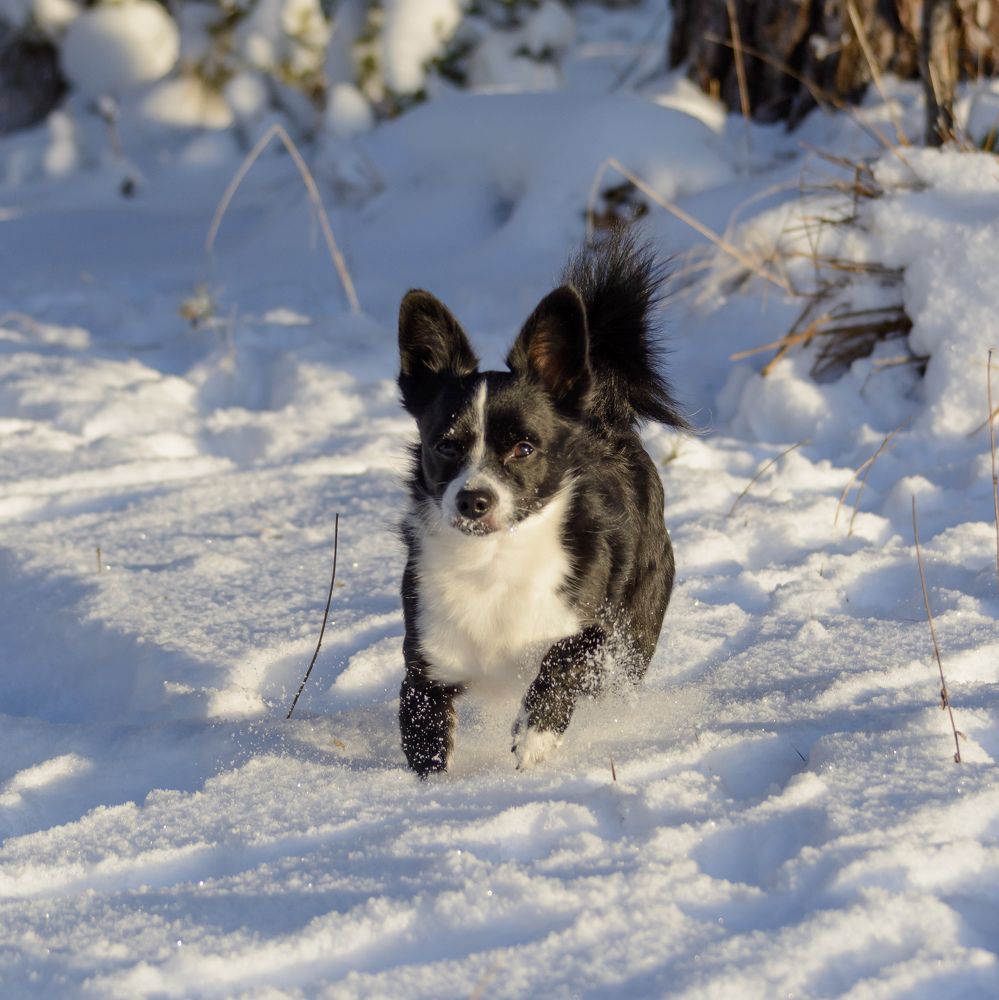 Photograph by Олег Бережных