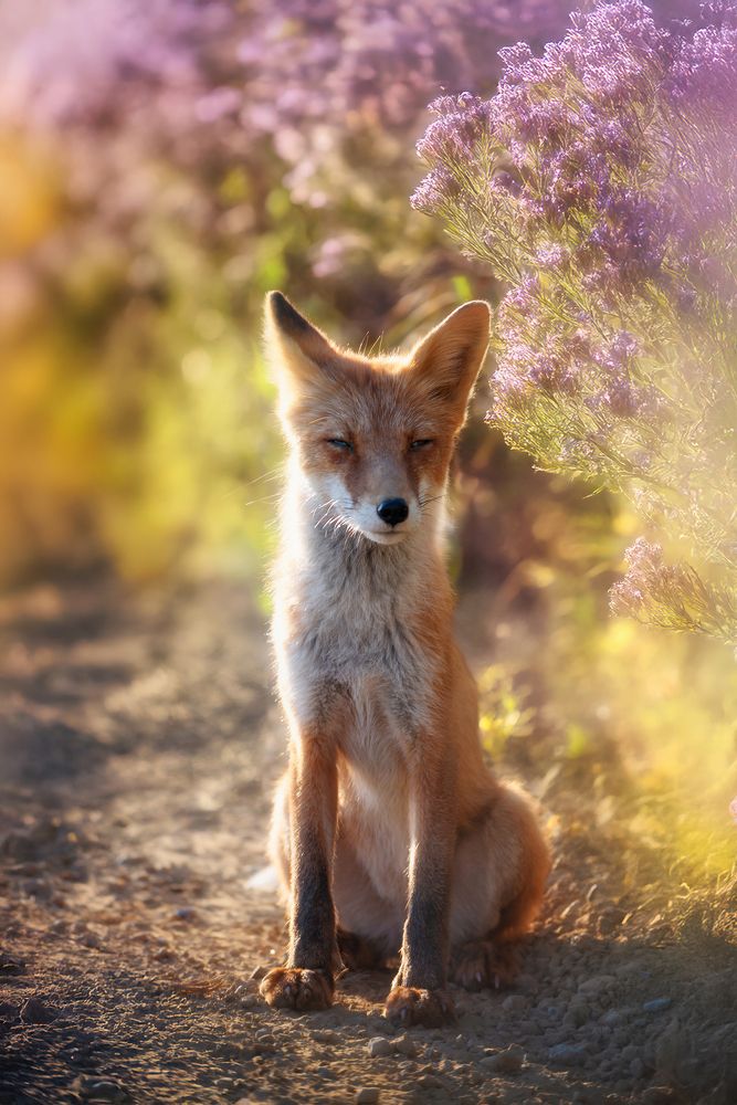 Photograph by Вероника Романенко