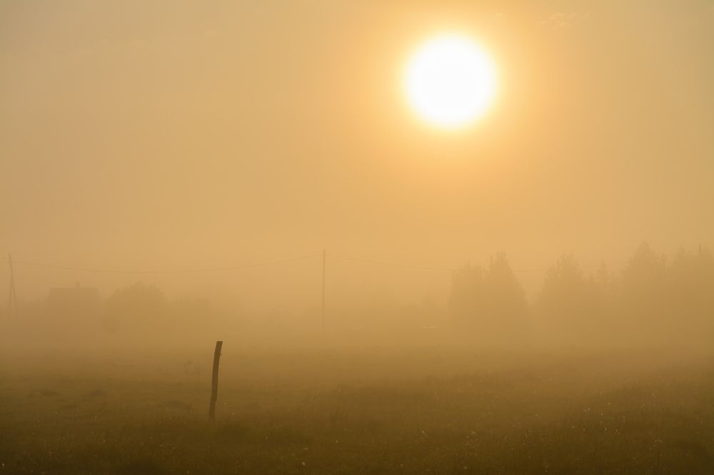 Photograph by Олег Бережных