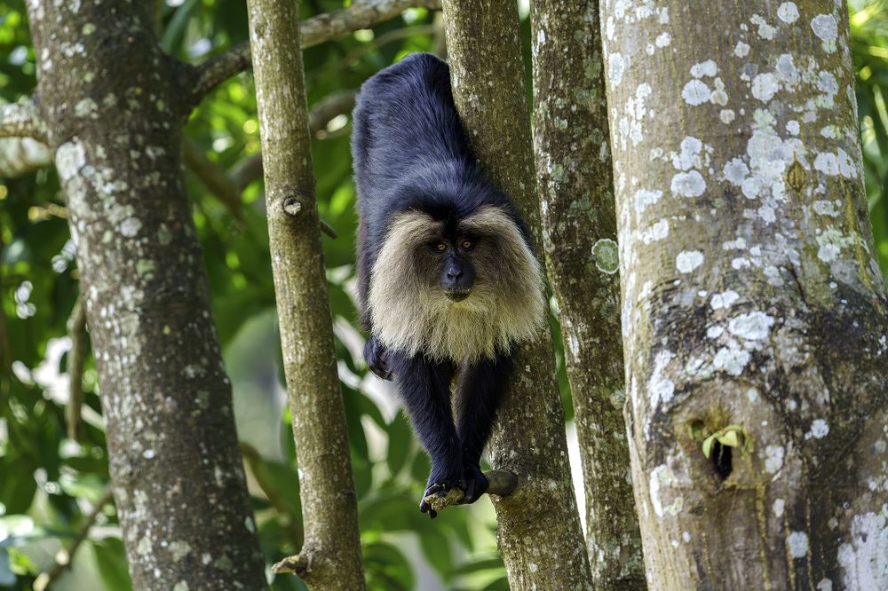 Photograph by suyash