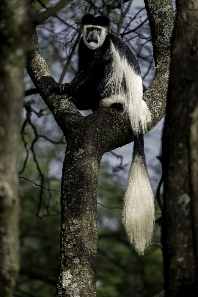 Photograph by suyash