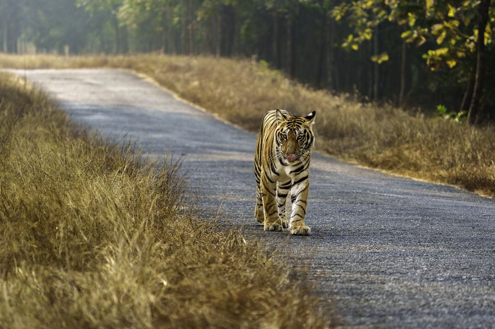 Photograph by suyash