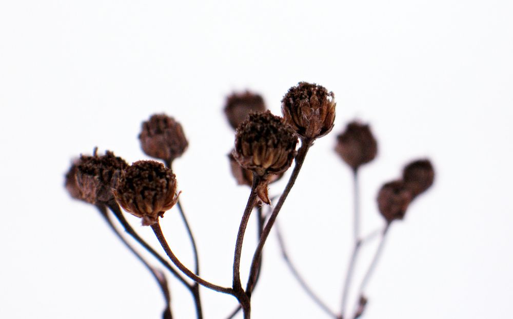 Photograph by Pavel Gukov