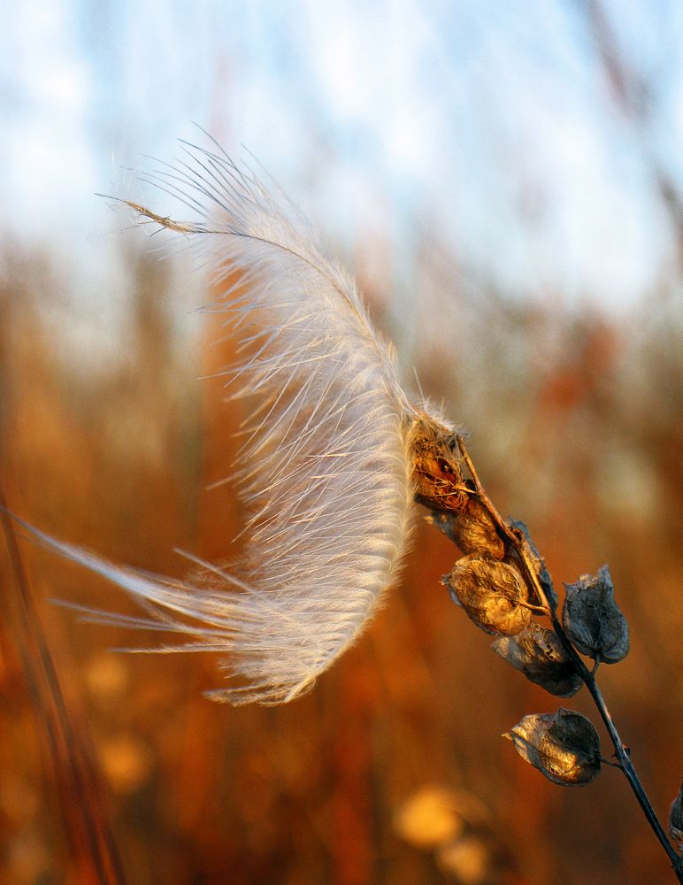 Photograph by Pavel Gukov