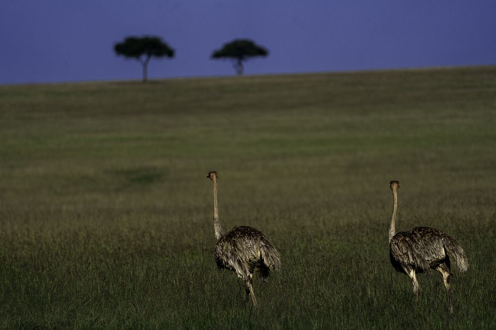 Photograph by suyash