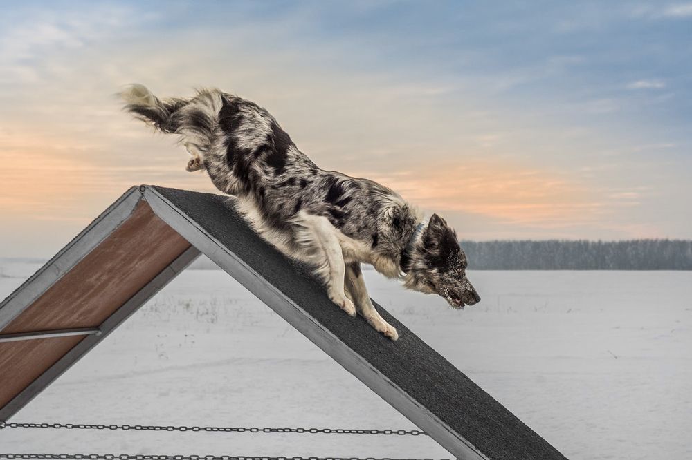 Photograph by Сергей Степанов