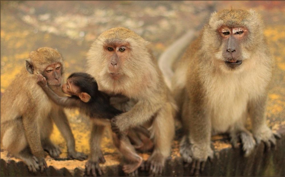 Photograph by Елена Анучина