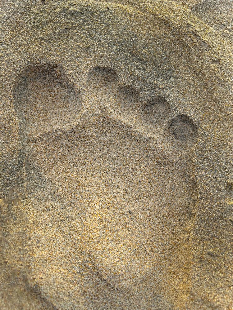 Photograph by shahil shaik