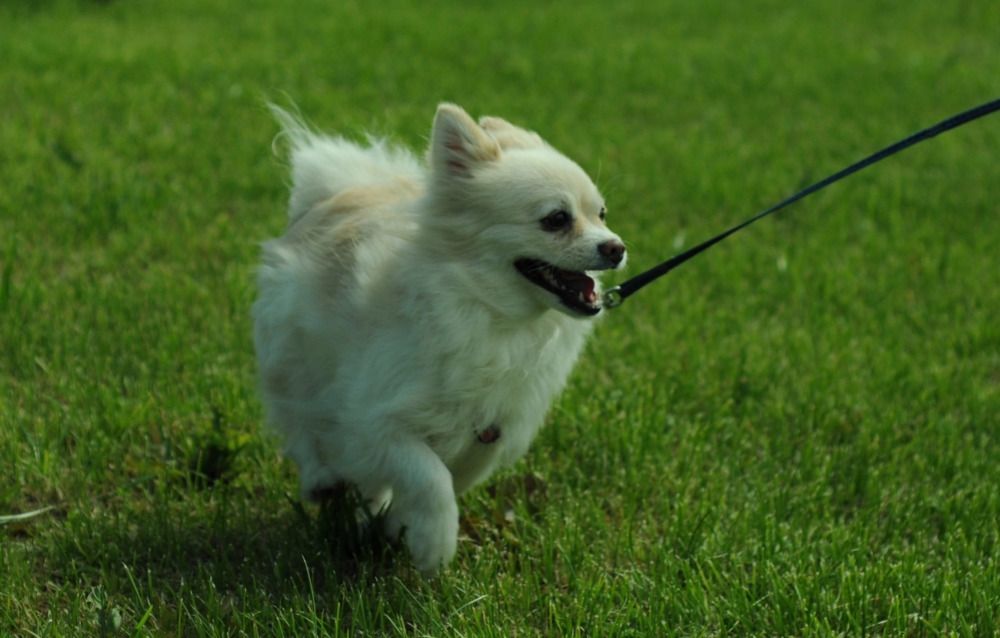 Фотография автора Кристина Киселёва