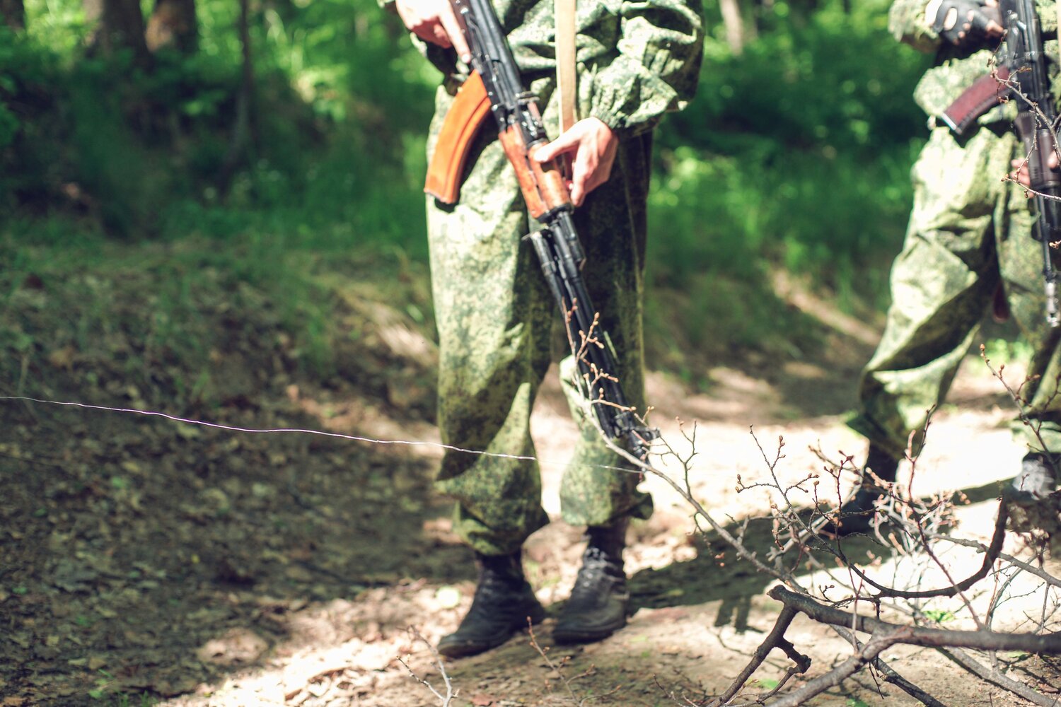Photo #11739004