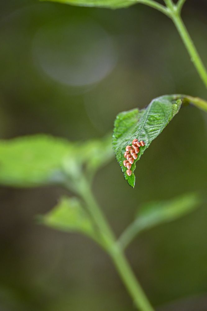 Photograph by shahil shaik