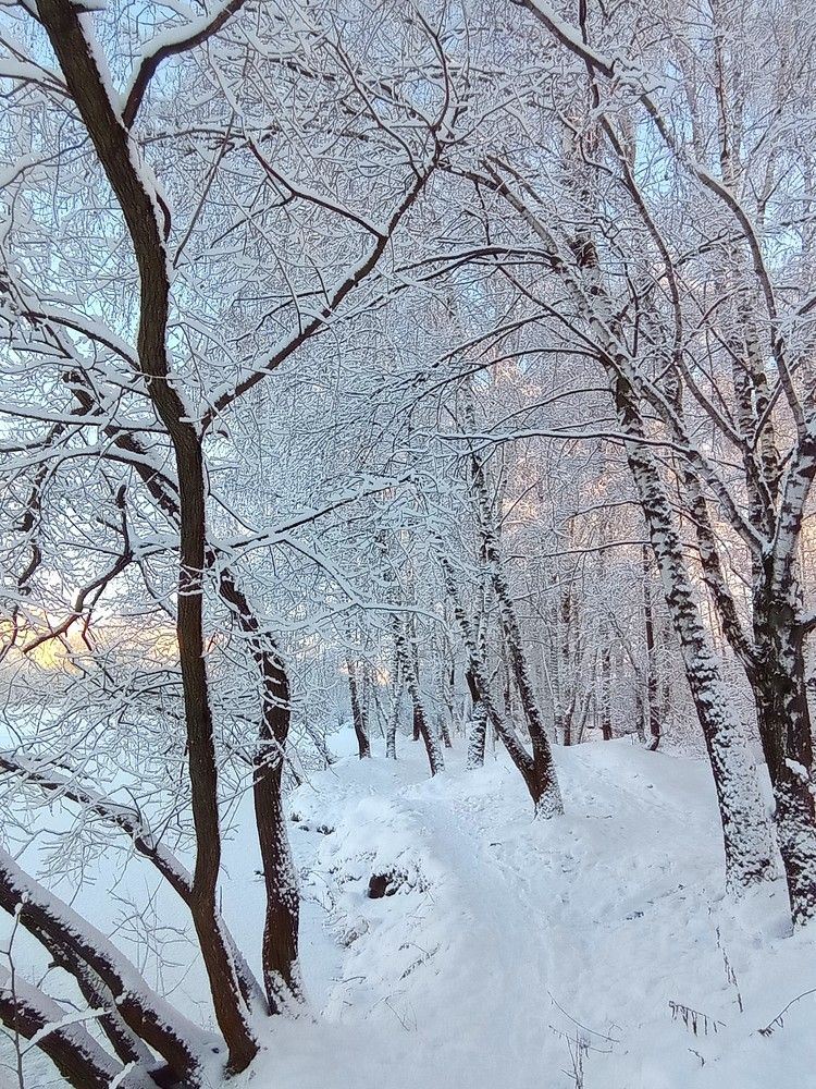 Photograph by Ирина Орлова