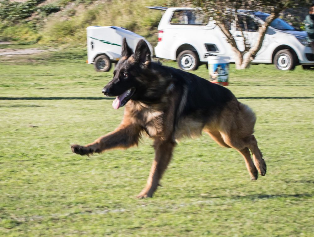 Photograph by Malinda Badenhorst