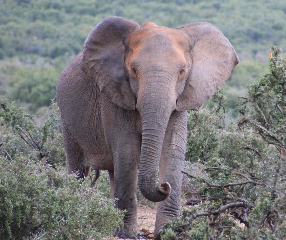 Photograph by Debbie Grady