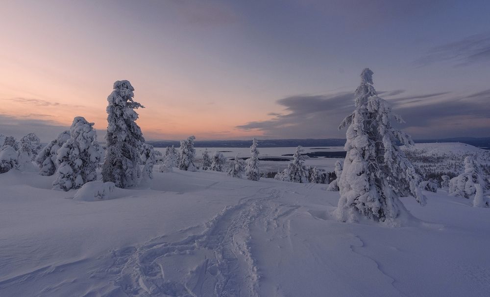 Photograph by Varvara Saprykina