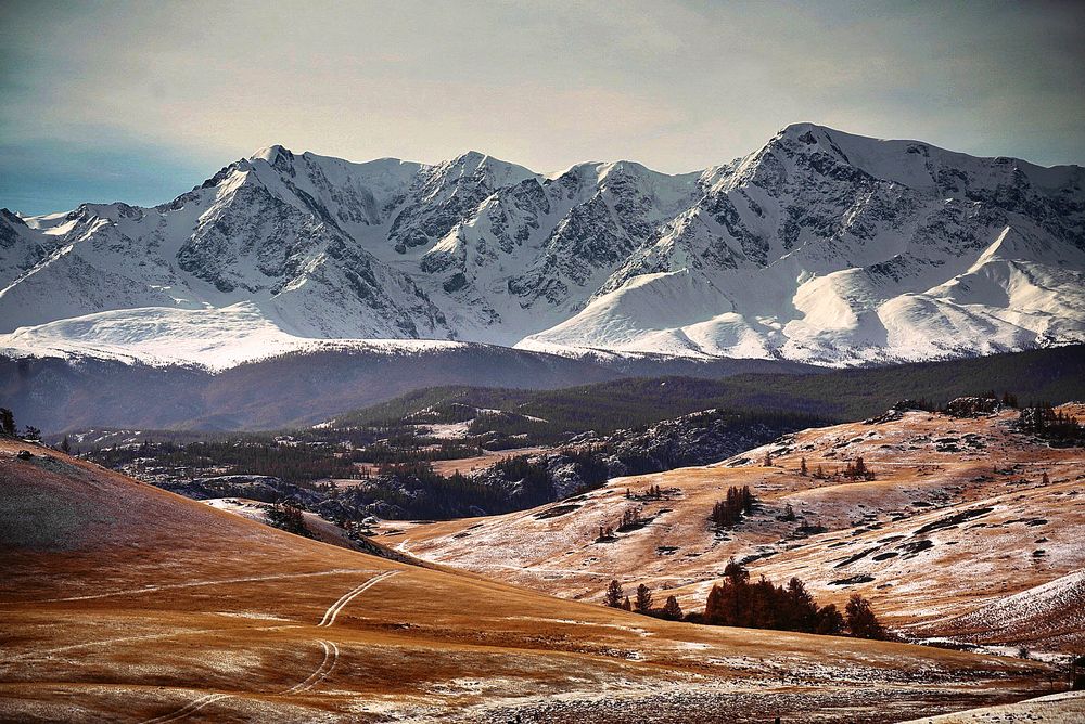 Photograph by Алексей Родак