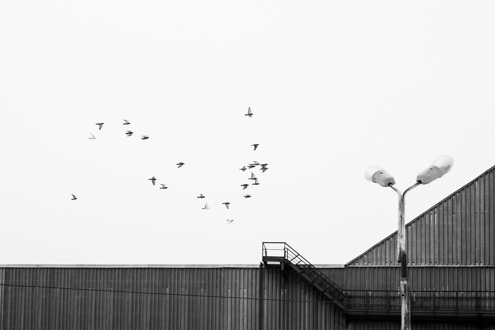 Photograph by Владислав Кузьмин