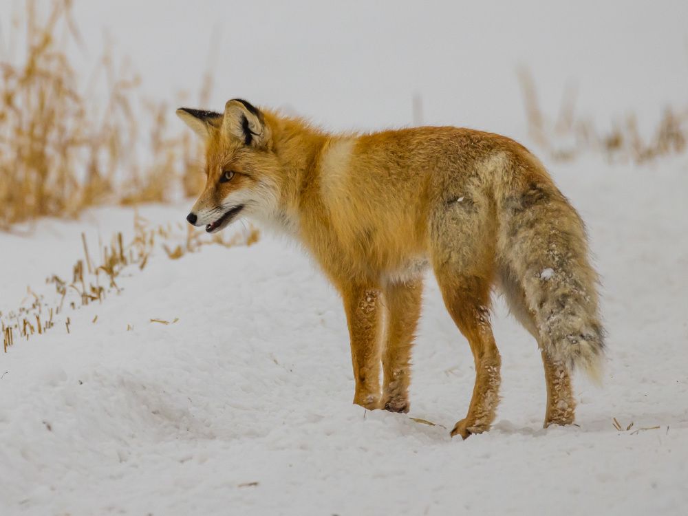 Photograph by Максим Фролов
