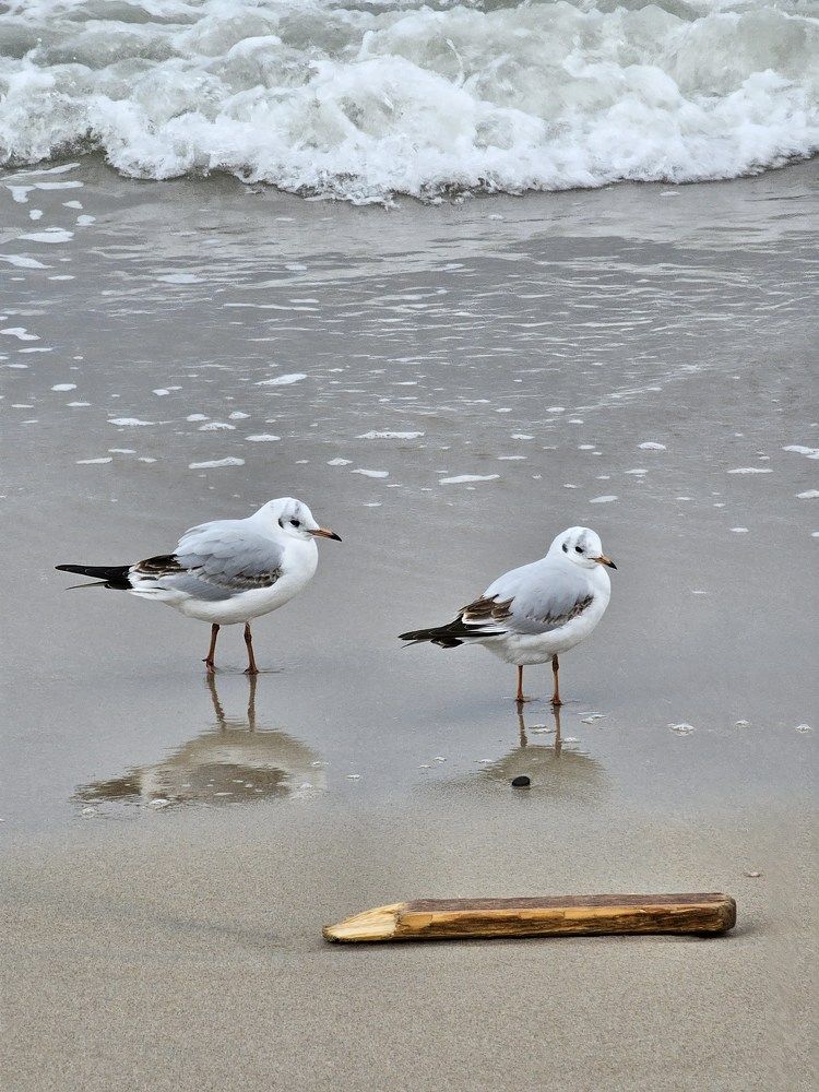 Photograph by Вадим Богатиков