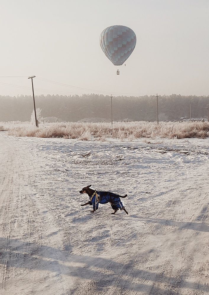 Photograph by Елена Леоненко