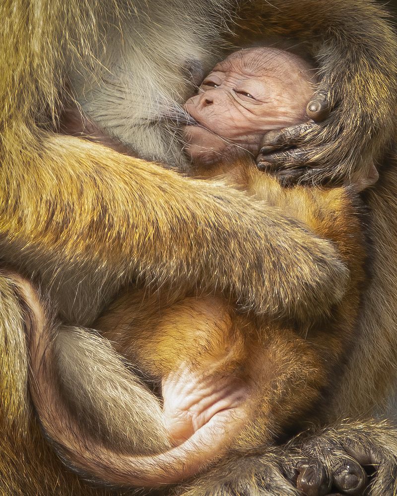 Photograph by Mineth Vismitha