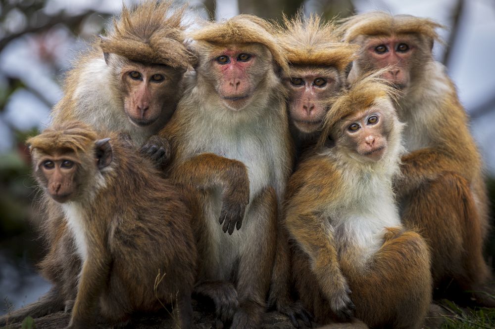 Photograph by Mineth Vismitha