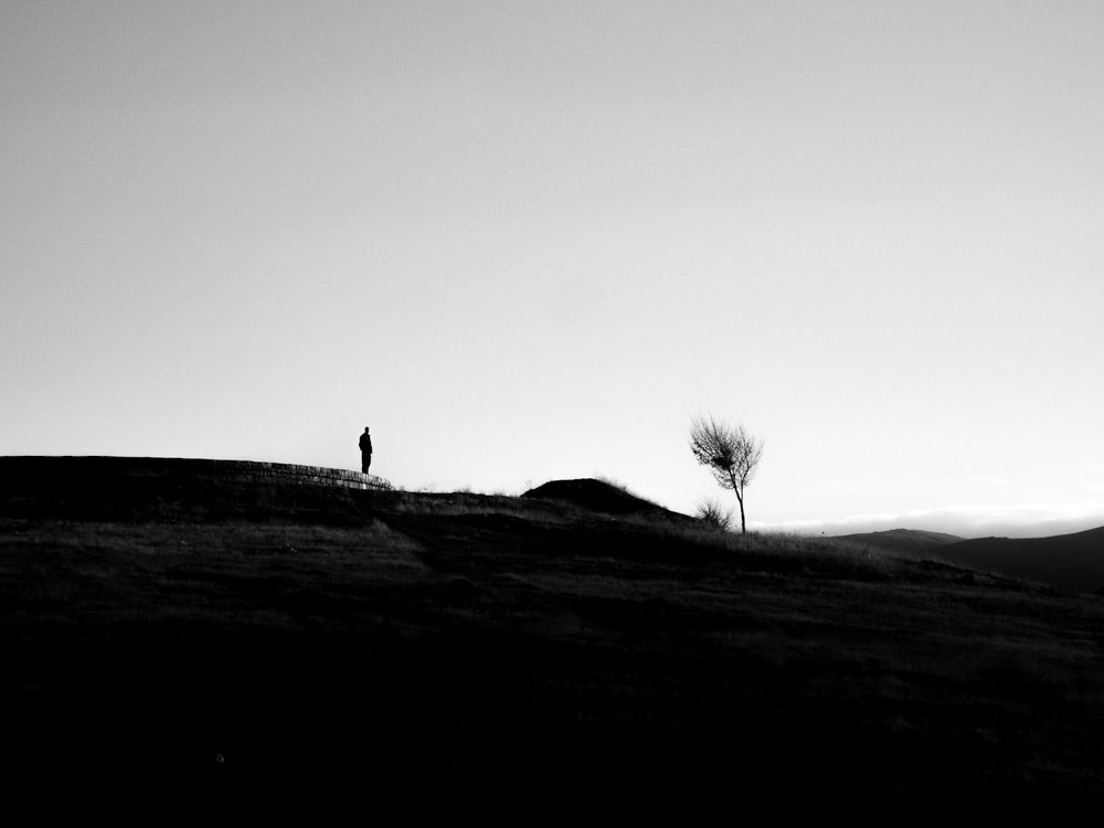 Photo #11739279