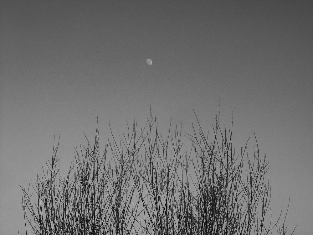 Photo #11739281
