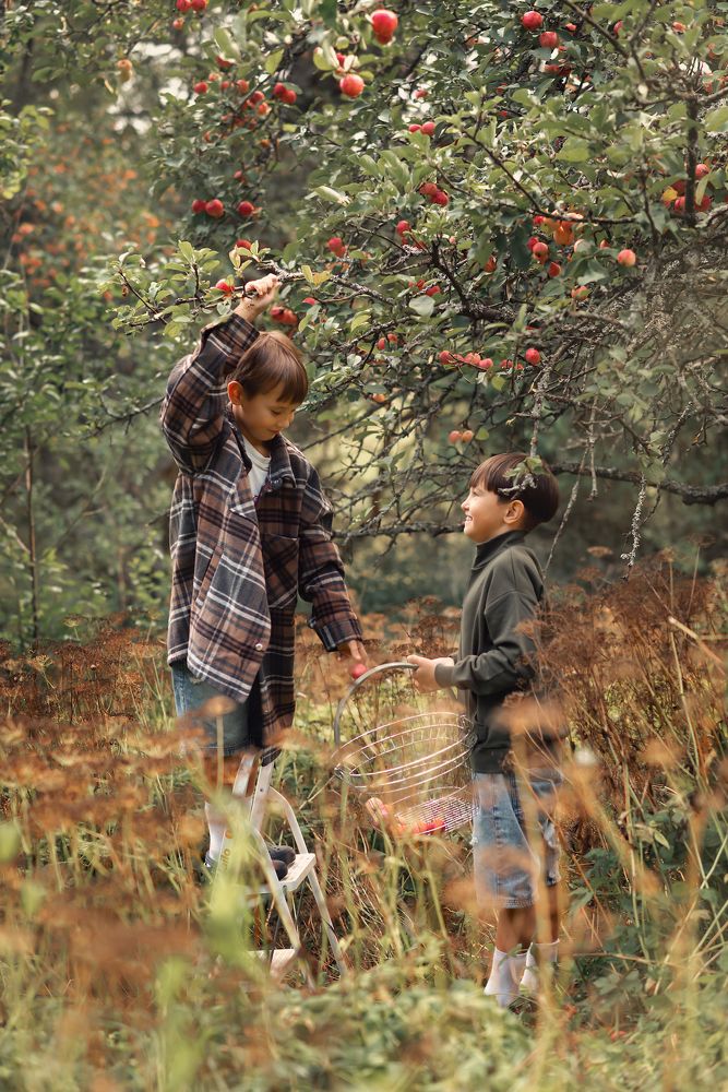 Фотография автора Виктория Шершень