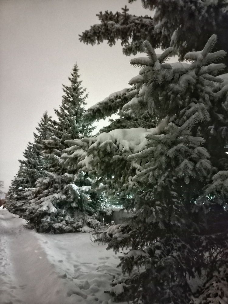 Photograph by Марина Егорова