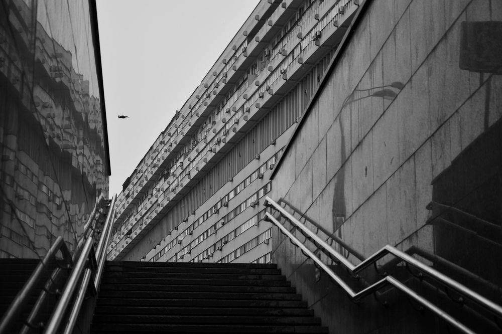 Photograph by Мария Елисеева