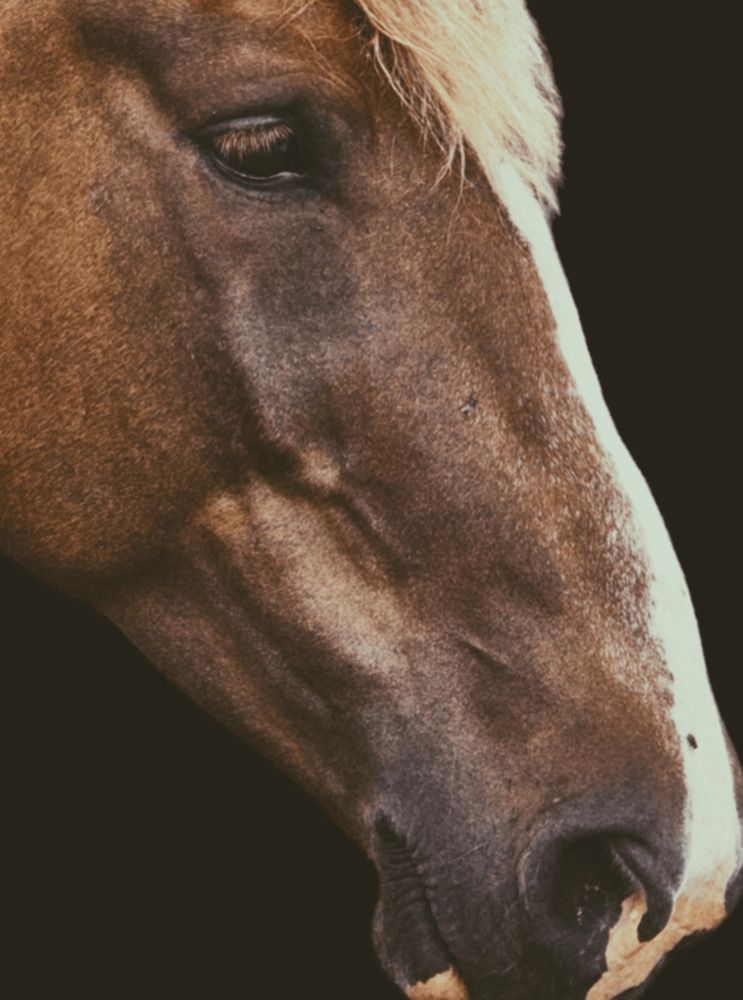 Фотография автора Елена Ямнюк