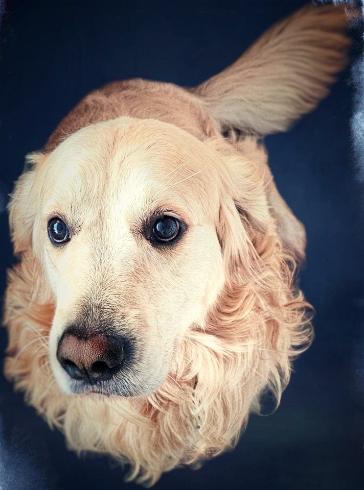 Photograph by Елена Ямнюк