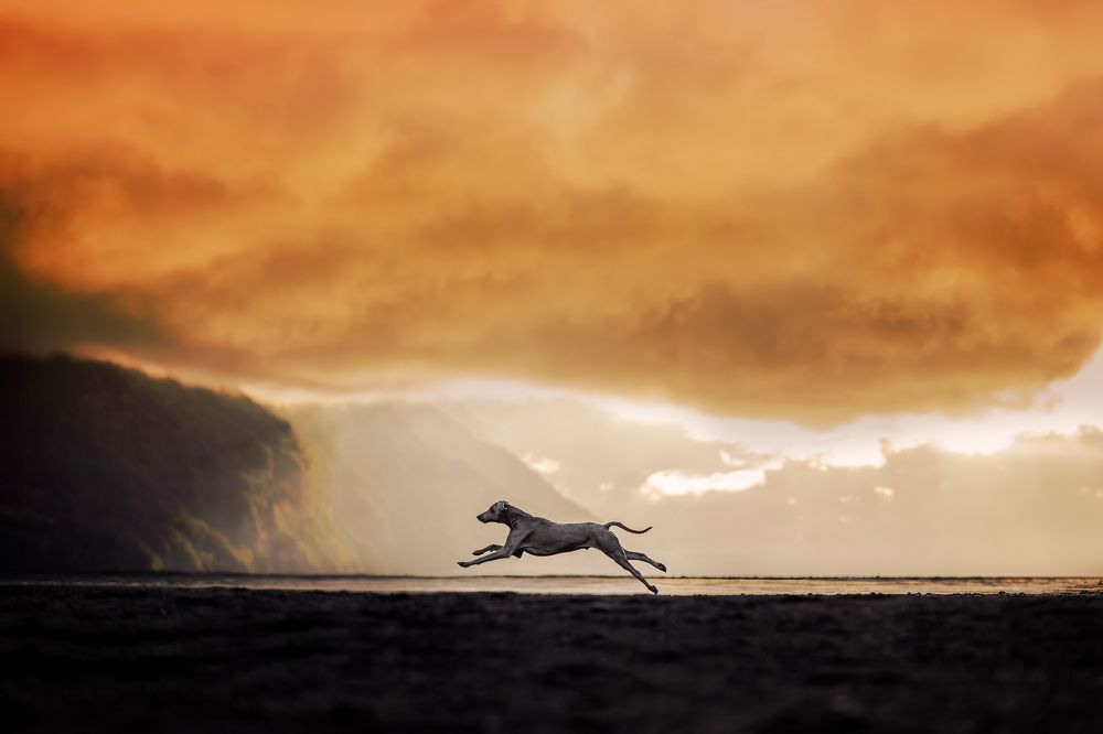 Photograph by karin bruhin