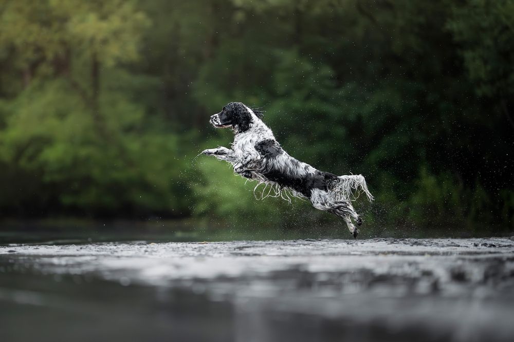 Photograph by karin bruhin