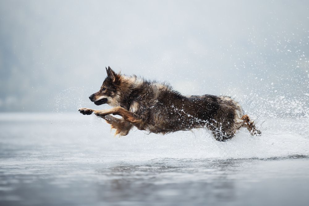 Photograph by karin bruhin