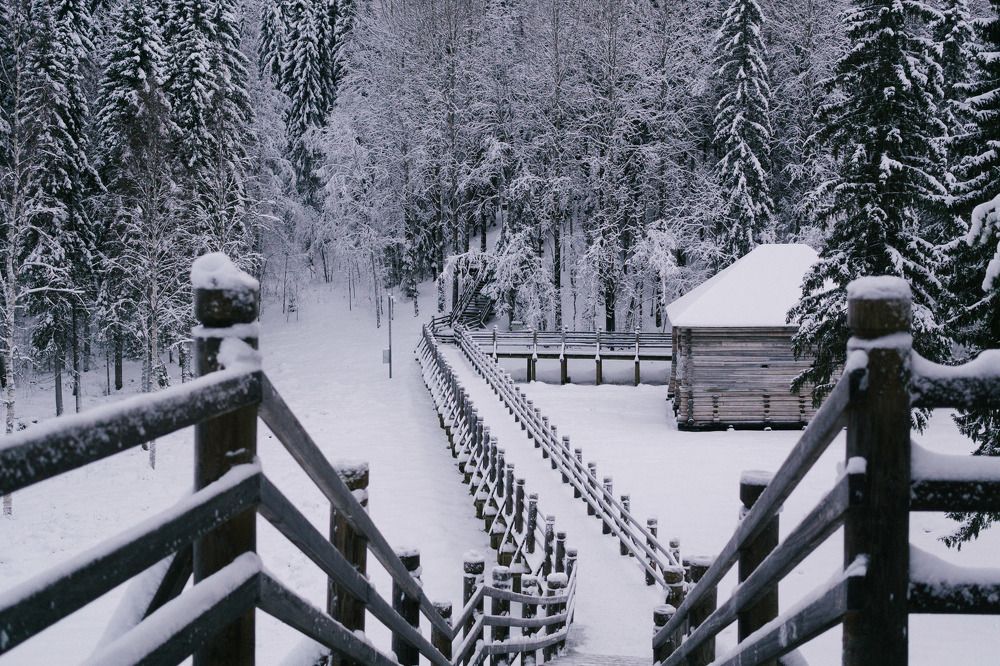 Photograph by Владислав Кузьмин